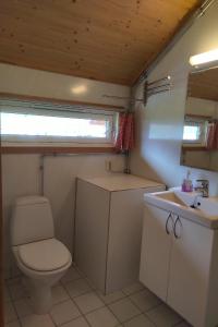 艾菲约德塞伯露营酒店的一间带卫生间和水槽的小浴室