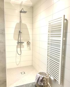 WeenerFreya Blue Ferienhaus的白色的浴室设有淋浴和淋浴头