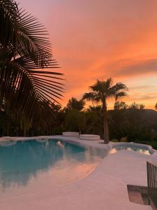 Torrelles de Llobregat佩蒂特米拉多酒店的棕榈树和日落的游泳池