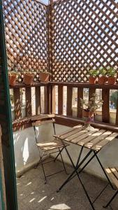 耶路撒冷Tzefania Hotel的阳台上的长凳和椅子,种植了盆栽植物