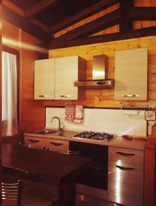 莱奥内萨Chalet Vacanze Il Daino的厨房配有水槽和炉灶 顶部烤箱