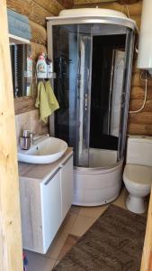 采西斯Camping Oskalns的带淋浴、盥洗盆和卫生间的浴室