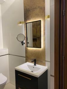 普乌图斯克巴尔塔扎尔酒店的一间带水槽和镜子的浴室