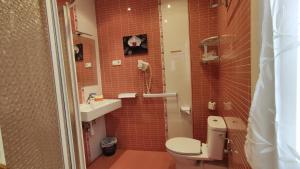 马德里阿利斯特旅馆的一间带卫生间和水槽的小浴室