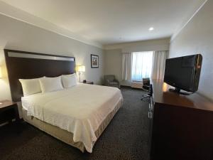 休斯顿休斯顿西克莱路拉金塔旅馆及套房酒店的配有一张床和一台平面电视的酒店客房