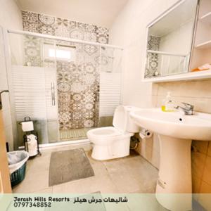 杰拉什Jerash Hills Farm & Chalets的浴室配有卫生间、盥洗盆和淋浴。