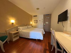 巴塞罗那列奥酒店的配有一张床和一台平面电视的酒店客房