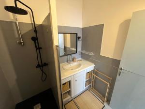 帕雷·勒·毛尼尔Appartement 6 personnes - Au coeur du centre ville的一间带水槽、镜子和淋浴的浴室
