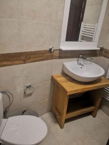 瑟尔尼察ArdoHill Hotel and Restaurant的一间带水槽、卫生间和镜子的浴室
