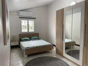 库鲁SPACIEUX T5的一间卧室配有一张床和镜子
