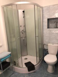 克拉斯纳利帕SWEET HOME的设有带卫生间的浴室内的淋浴间