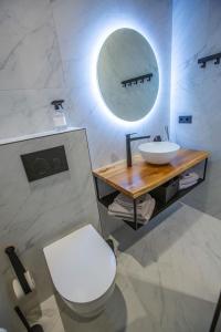 马斯特里赫特Suite 105的一间带卫生间、水槽和镜子的浴室