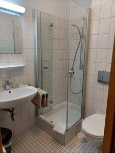施尔奇Pension Drei Elstern的带淋浴、盥洗盆和卫生间的浴室