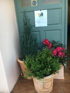 卡拉库恰保德里那之家酒店的一对盆栽植物在门前