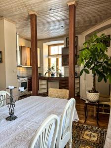 拉克韦雷Spacious 1-bedroom apartment with Sauna的厨房以及带桌子和植物的用餐室