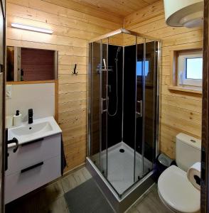 博尔斯克DOMKI We MGLE - Borsk的带淋浴、卫生间和盥洗盆的浴室
