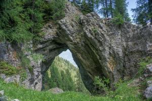 SchwaigAlmhaus Goldeck的一座有草地和树木的岩石山中的拱门