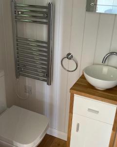奥斯威斯The Snug at Coed Y Gaer的浴室配有白色水槽和卫生间。
