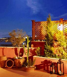 阿迪斯普普伦卡萨戴尔艾瑞斯提亚酒店的一组盆栽植物坐在阳台上