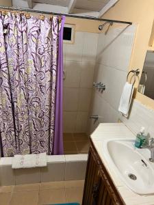 CanaanShirvan Holiday Apartments Studio的浴室设有紫色的浴帘和水槽