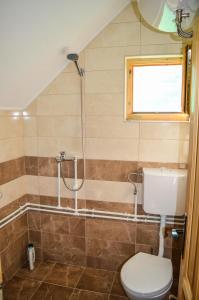 莫伊科瓦茨Tara Valley Eco Lounge的一间带卫生间和淋浴的浴室