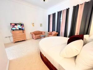 安东尼奥港Jamaica Palace Hotel的一间卧室配有一张床、一台电视和一张沙发
