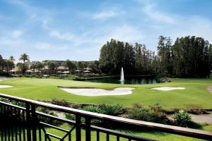 卫斯理堂Saddlebrook Golf Resort & Spa Tampa North-Wesley Chapel的享有高尔夫球场的景色,设有池塘和喷泉