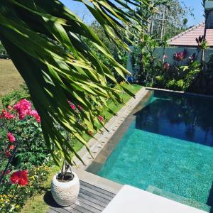 乌鲁瓦图Canang Villas Bingin的棕榈树花园中的游泳池