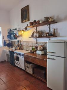 利帕里零号数位住宿加早餐旅馆的厨房配有炉灶和白色冰箱。