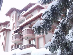 班斯科马丁俱乐部酒店的树枝上积雪的大建筑