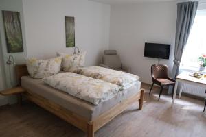 巴特塞格贝格Gästehaus Langhals的一间卧室配有一张床、一张书桌和一台电视