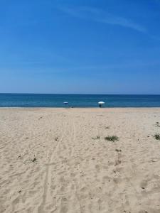 阿谢亚Appartamento Salvia in centro的沙滩上带遮阳伞和大海