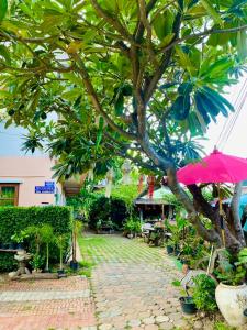 北碧泰国宾馆的庭院里种着树,还有粉红色的雨伞