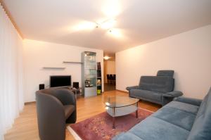 迈林根迈林根阿尔贝巴赫街4号公寓的客厅配有两张沙发和一台电视机