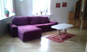 ÖverkalixVilla Polarktis的客厅里一张紫色的沙发和一张桌子
