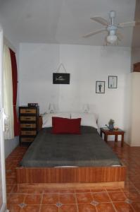 AloproniaCOSY STUDIO IN ALLOPRONOIA SIKINOS的一间卧室配有一张带红色枕头的大床