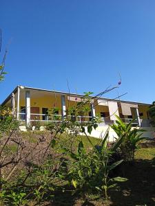 拉斯拉哈斯Hostal Casa Las Lajas的前面有大量植物的黄色房子