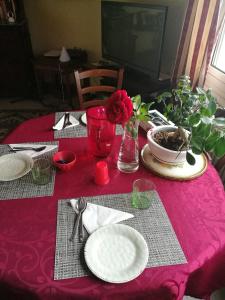 萨沃纳b&b bellavista的一张桌子,上面有粉红色的桌布,布上布片,花