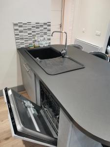 阿克斯莱泰尔姆Appartement Fontargente的厨房柜台设有水槽和洗碗机。