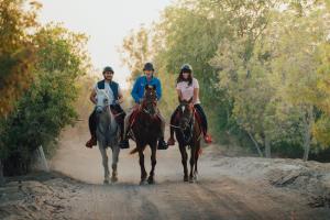 米尔费Bab Al Nojoum Al Mugheirah的三人骑着马沿着土路走