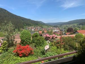 拜尔斯布龙Appartement mit herrlicher Aussicht übers Murgtal的花园中鸟的小镇景色