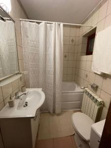 锡纳亚BSG Villa - Sinaia的浴室配有盥洗盆、卫生间和浴缸。