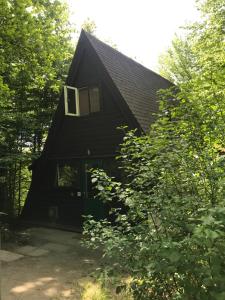 杜柏Durbuy chalet 90的一座带绿门和树木的黑色房子