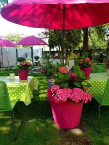 策勒Schifferkrug Hotel & Weinstube的粉红色的雨伞和一些桌椅和鲜花