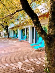 维埃拉·多米尼奥Oak Nature的两把蓝色椅子坐在建筑物旁边的甲板上
