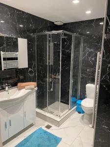 雅典luxury apartment 11' from Athens center的一间带玻璃淋浴和卫生间的浴室