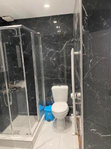 雅典luxury apartment 11' from Athens center的一间带卫生间和淋浴的浴室