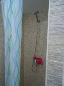 莱乌卡Appartamento Leuca的带淋浴的浴室,配有红色毛巾