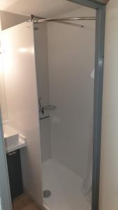 韦尔科尔地区格雷斯SCI jsm的浴室里设有玻璃门淋浴