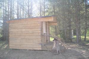 KorjuseKorjuse Moori metsaonn- forest hut的树林中间的木屋
